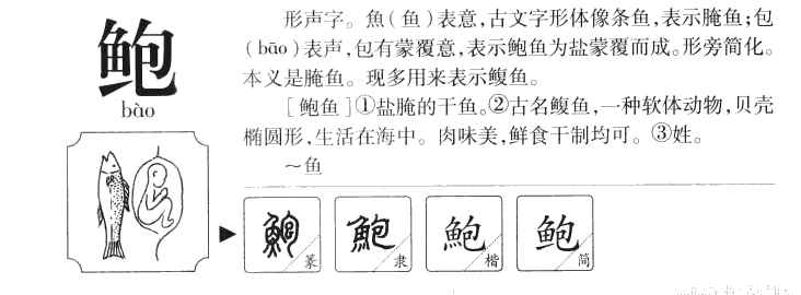 鲍字字源字形
