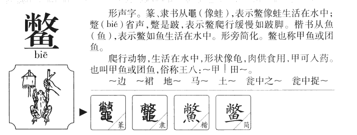 鳖字字源字形
