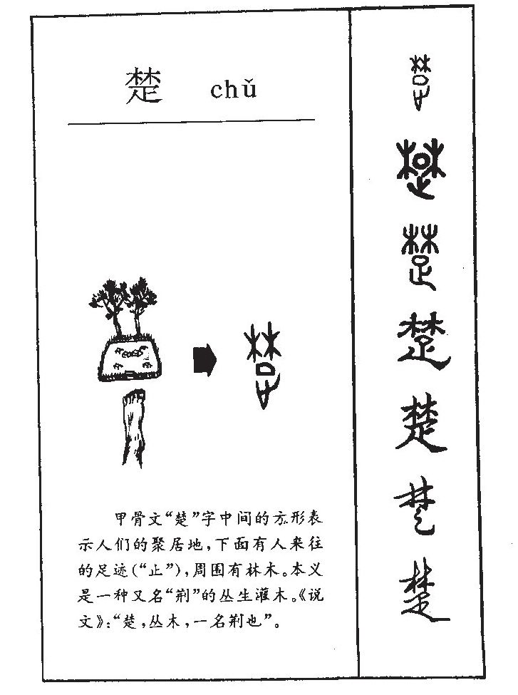 楚字字源字形