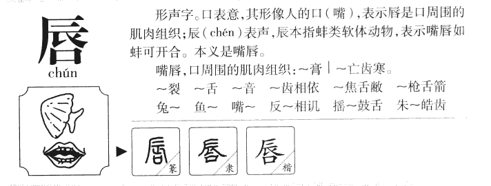 唇字字源字形