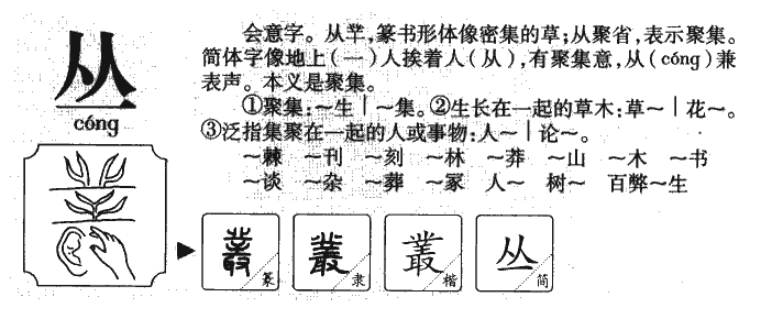 丛字字源字形