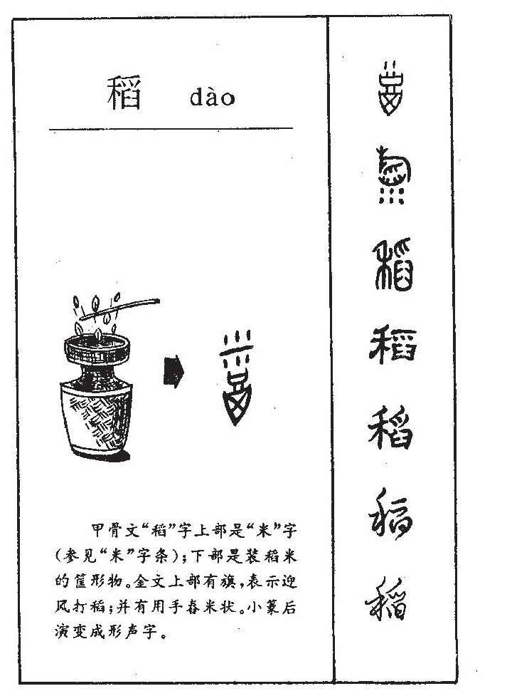 稻字字源字形