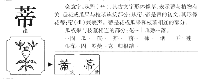 蒂字字源字形