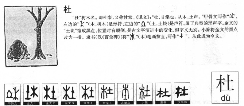 杜字字源字形