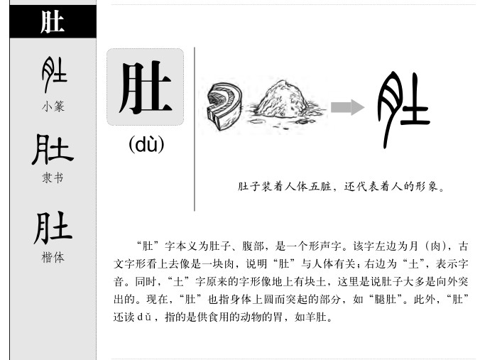 肚字字源字形