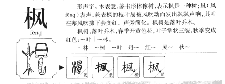 枫字字源字形