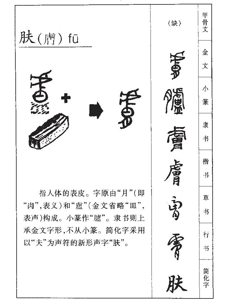肤字字源字形