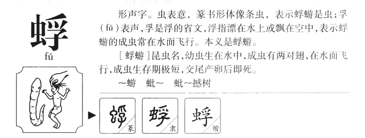 蜉字字源字形