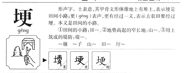 埂字字源字形