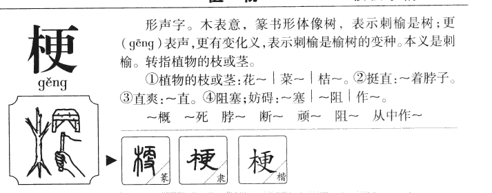 梗字字源字形