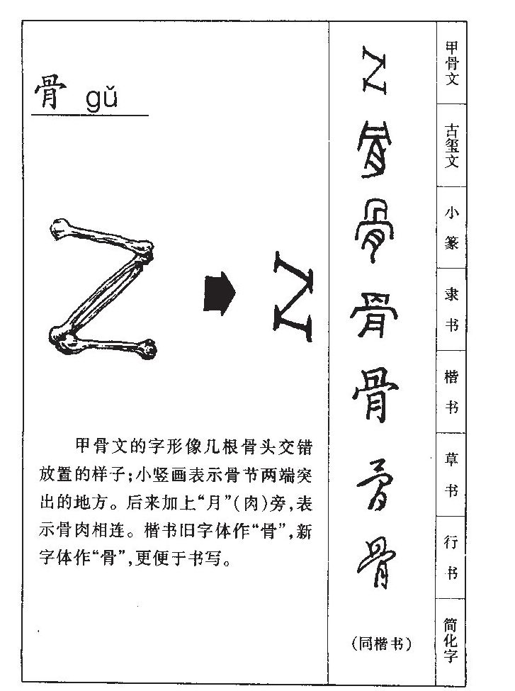 骨字字源字形