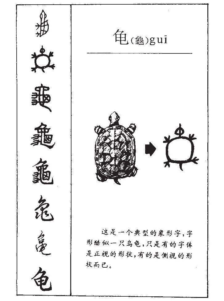 龟字字源字形