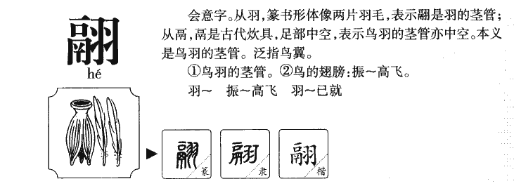 翮字字源字形