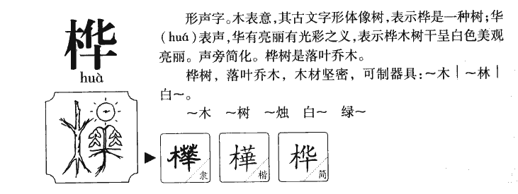 桦字字源字形