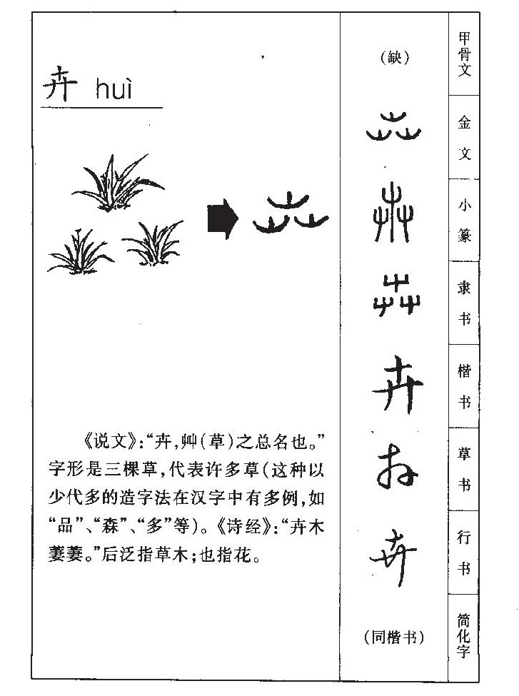 卉字字源字形
