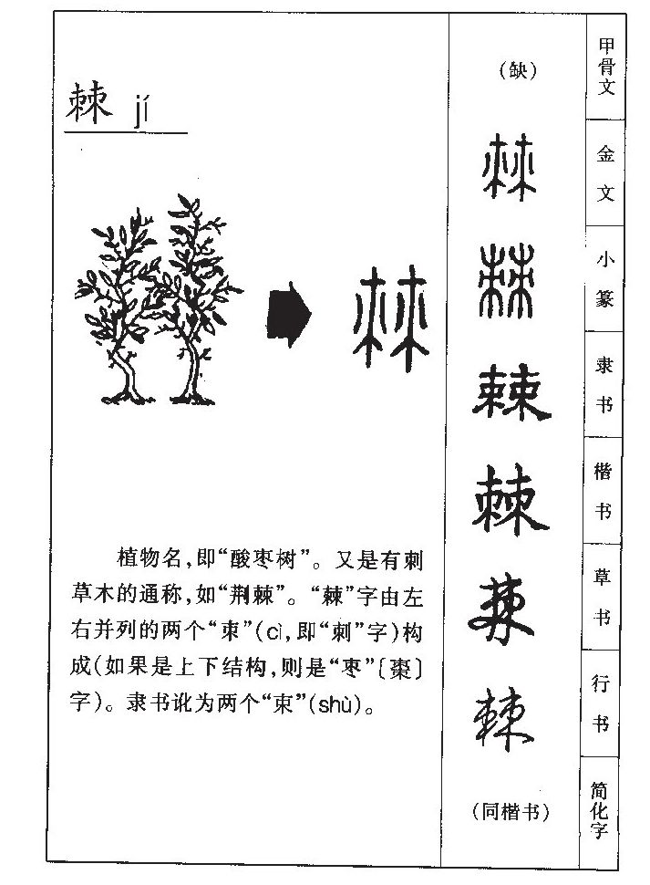 棘字字源字形