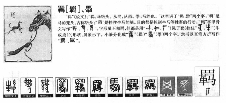 羁字字源字形