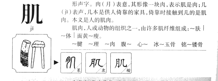 肌字字源字形