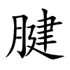 腱字字源字形