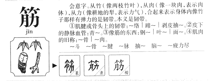 筋字字源字形