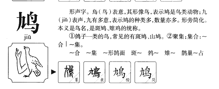 鸠字字源字形