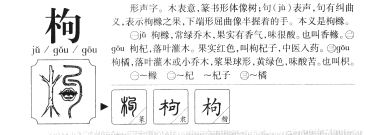枸字字源字形
