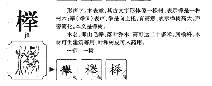 榉字字源字形