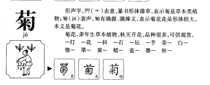 菊字字源字形