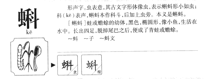 蝌字字源字形