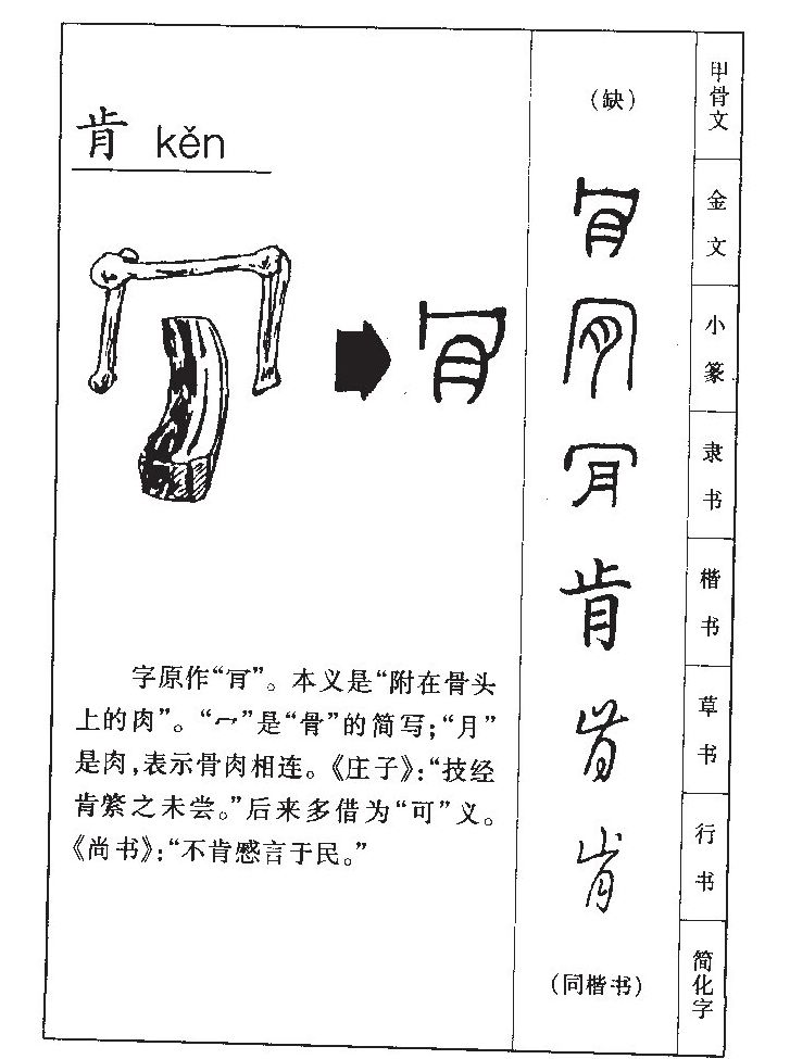 肯字字源字形
