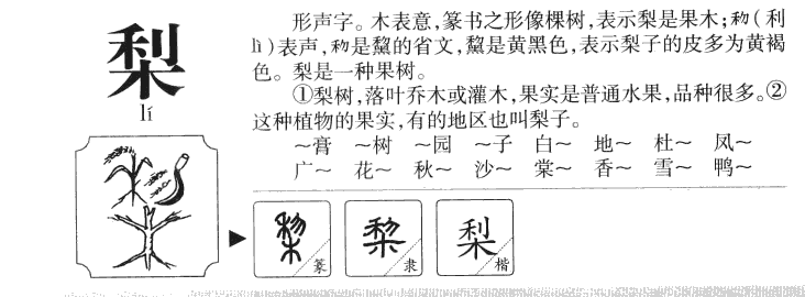 梨字字源字形