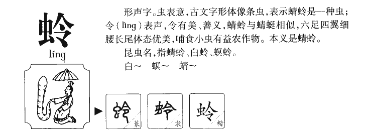 蛉字字源字形