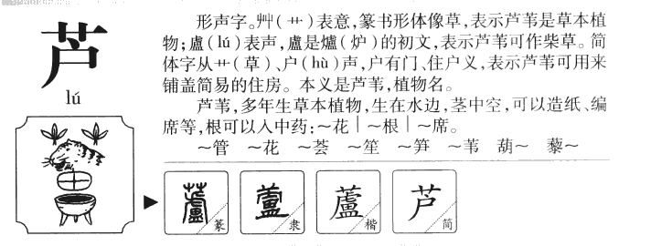 芦字字源字形