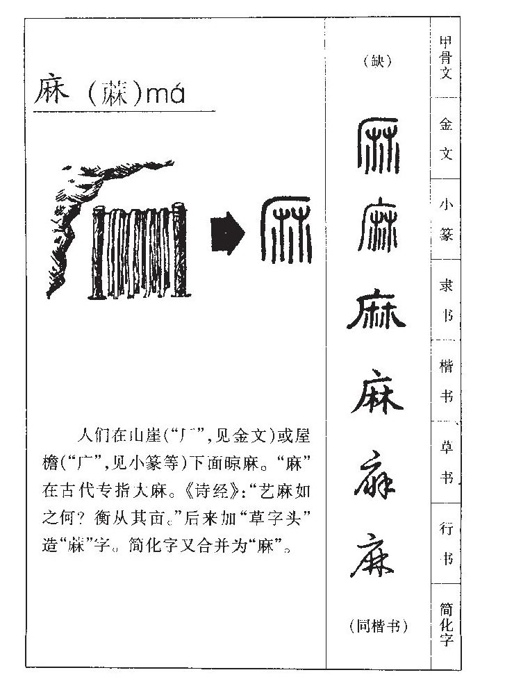 麻字字源字形