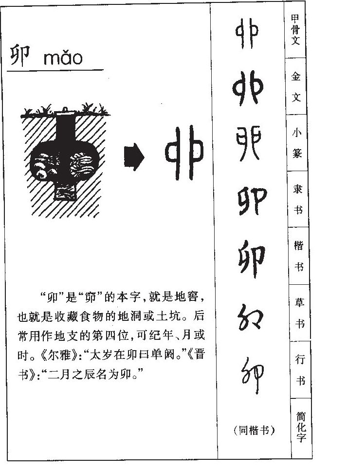 卯字字源字形