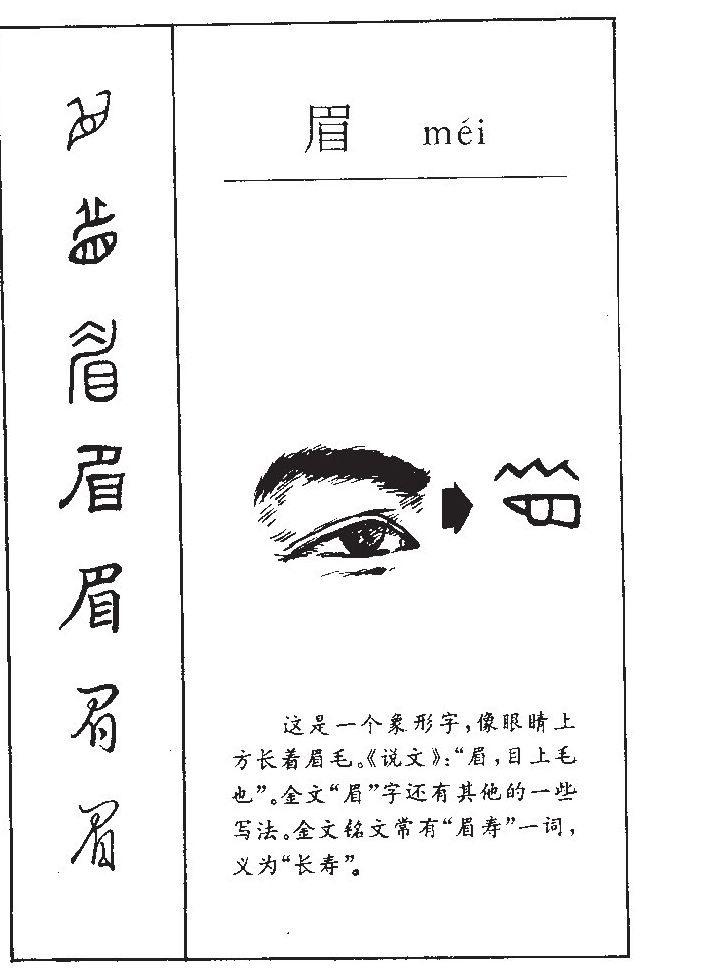 眉字字源字形