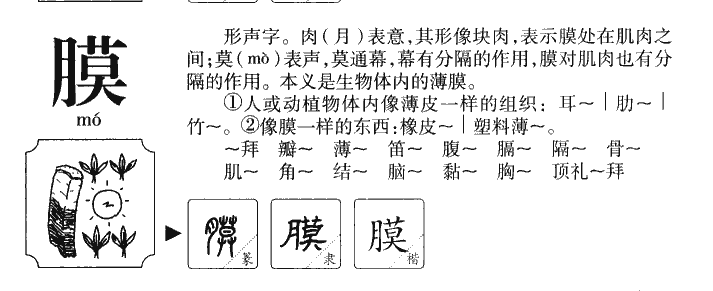 膜字字源字形