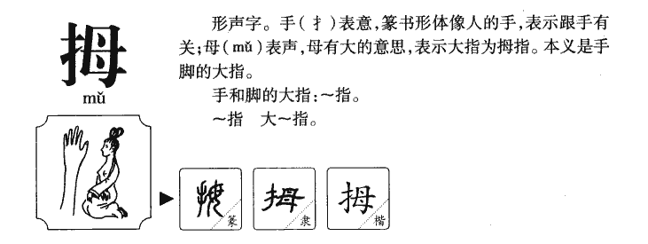 拇字字源字形