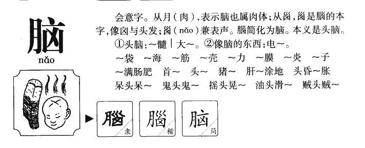脑字字源字形