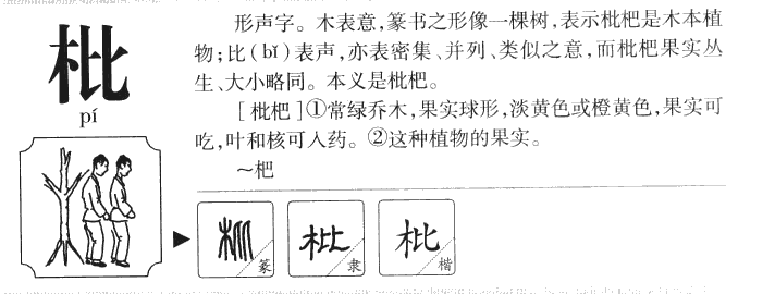 枇字字源字形