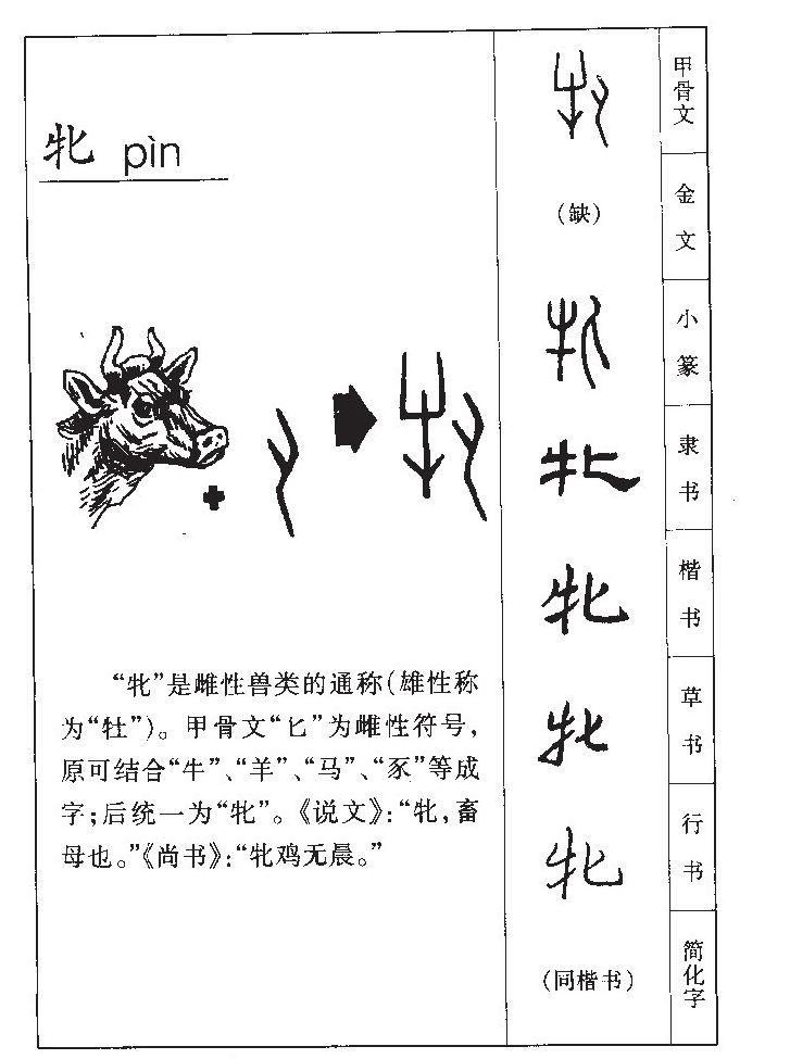 牝字字源字形