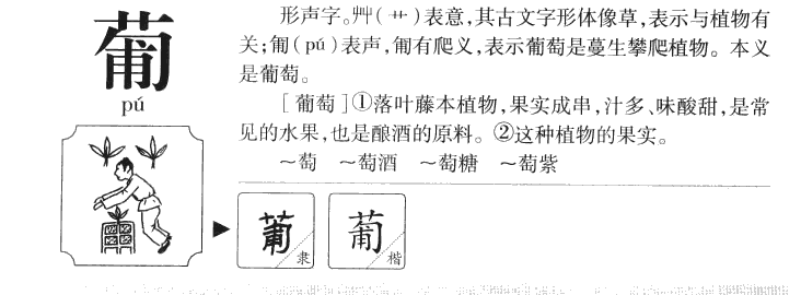 葡字字源字形