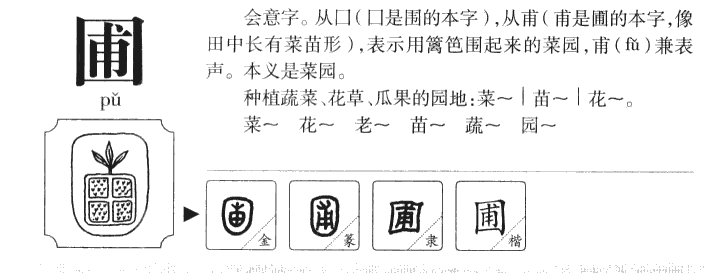 圃字字源字形