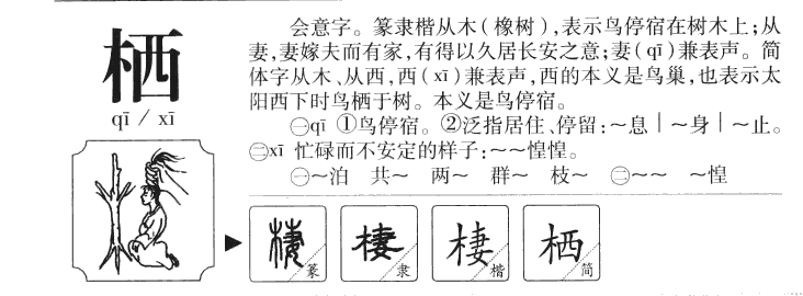 栖字字源字形