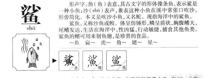 鲨字字源字形