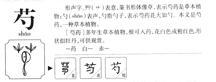 芍字字源字形