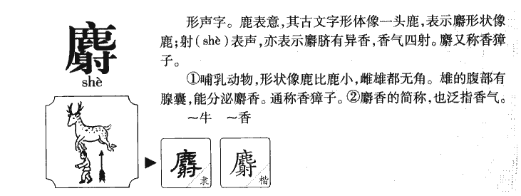 麝字字源字形