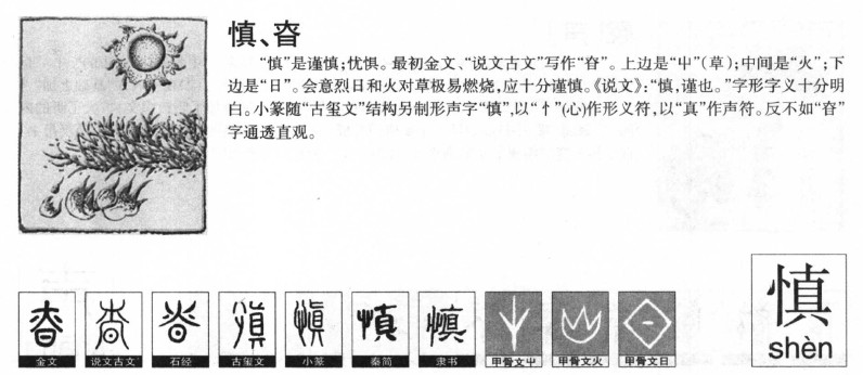 慎字字源字形