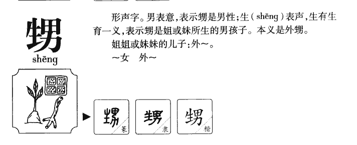 甥字字源字形