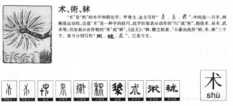 术字字源字形